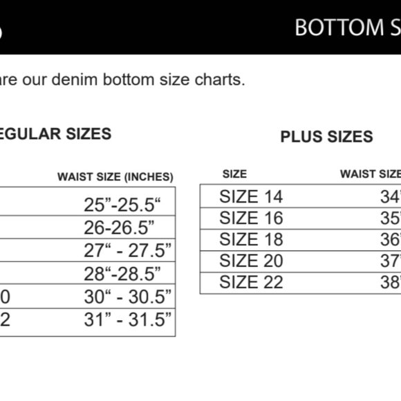 Dark Wash Plus Size Bell Bottom Flares NWT - Picture 3 of 4